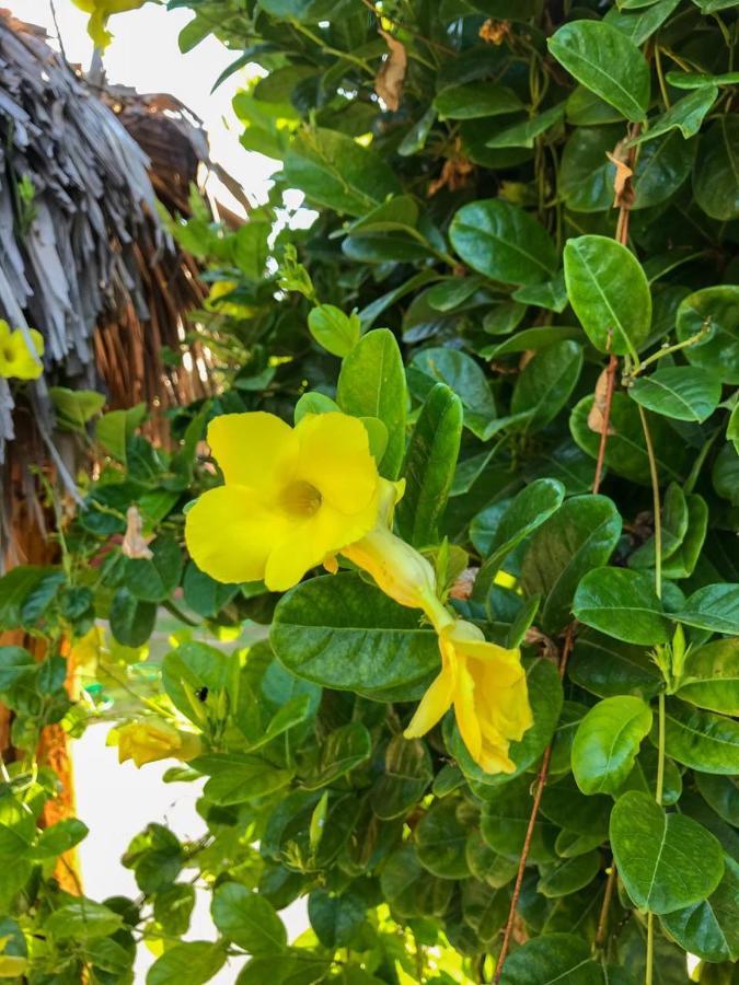 Pousada Aruna Kite Barra Grande  Zewnętrze zdjęcie