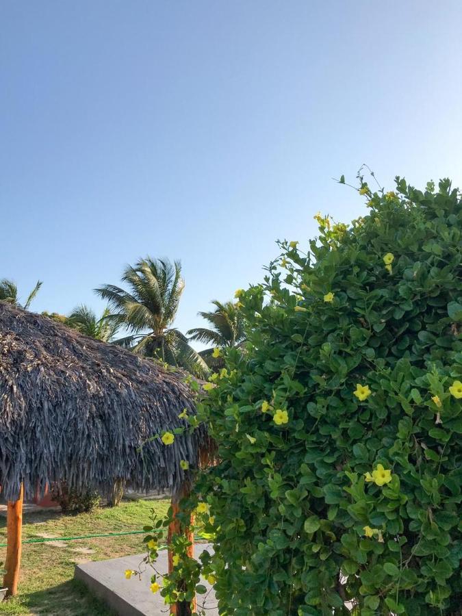 Pousada Aruna Kite Barra Grande  Zewnętrze zdjęcie
